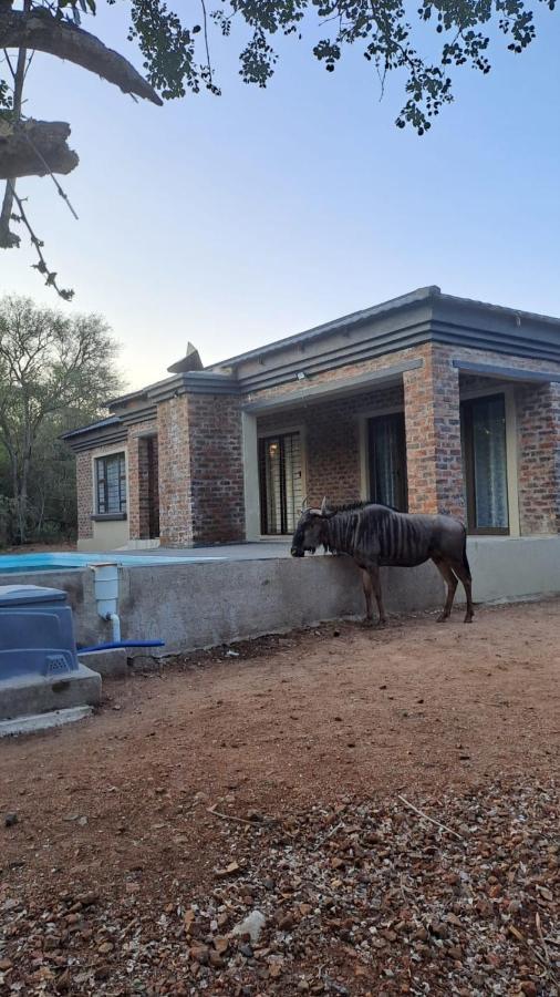 Nanisto Bush Lodge Marloth Park Exterior foto